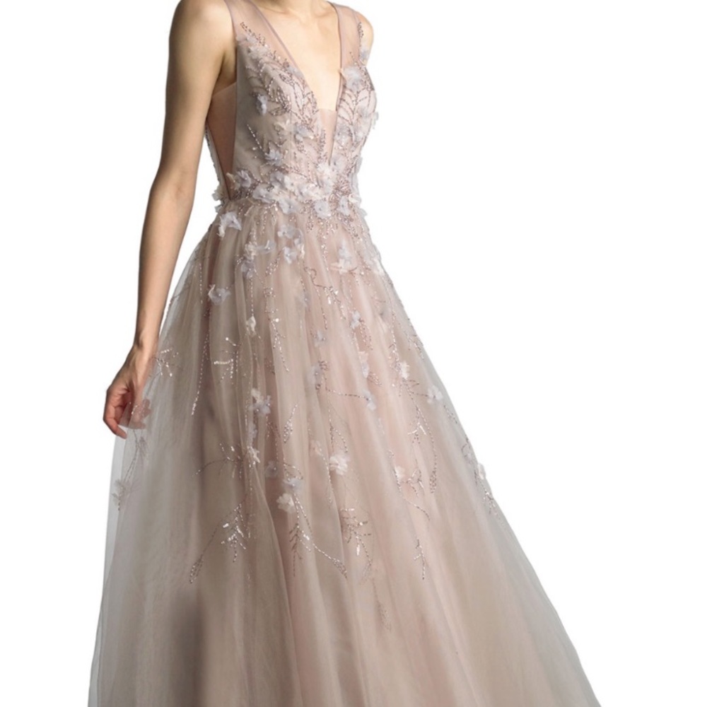 Gown/ Dress